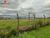 Terreno, 1043 m² - Foto 3