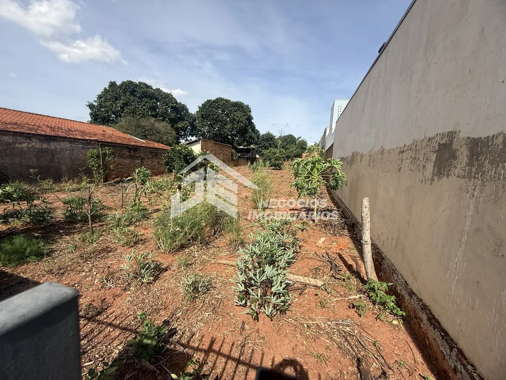 Terreno - Foto 1
