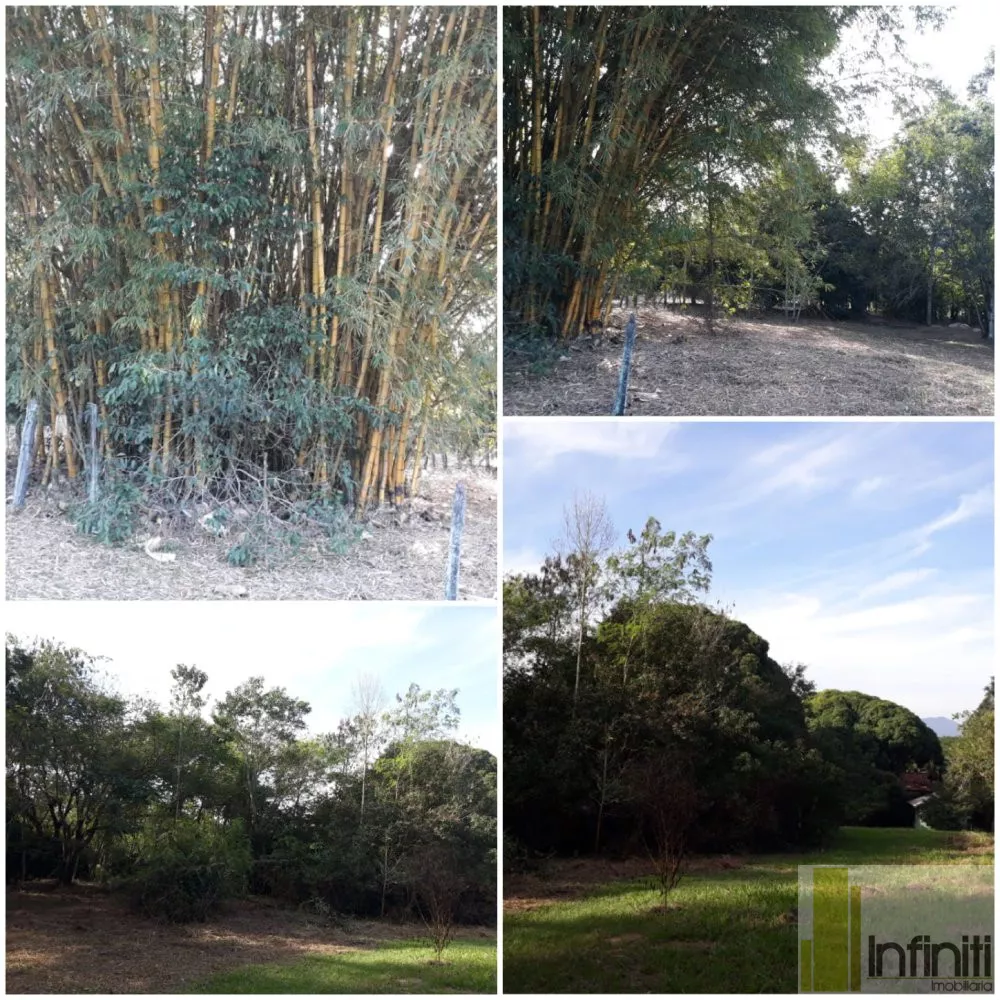 Sítio, 1000 m² - Foto 13