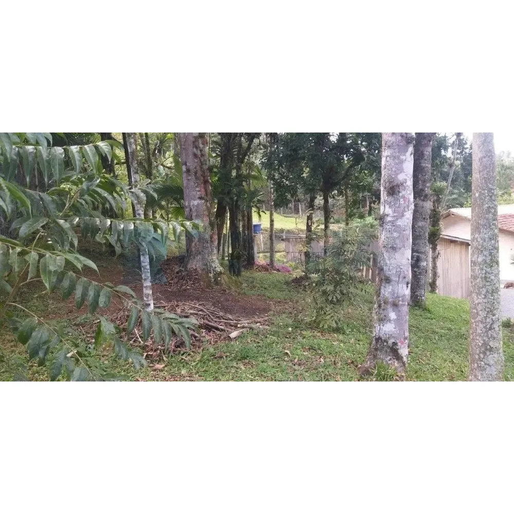 Sítio, 3 quartos, 200 m² - Foto 11