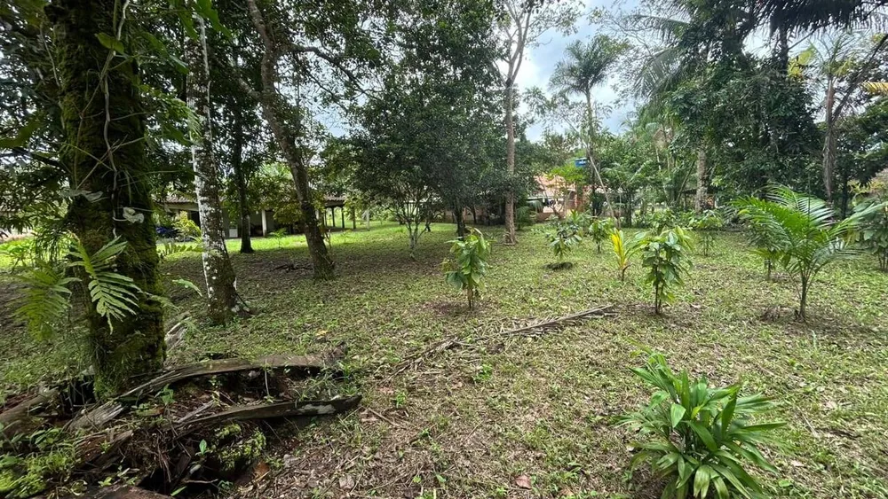 Casa, 4 quartos - Foto 7