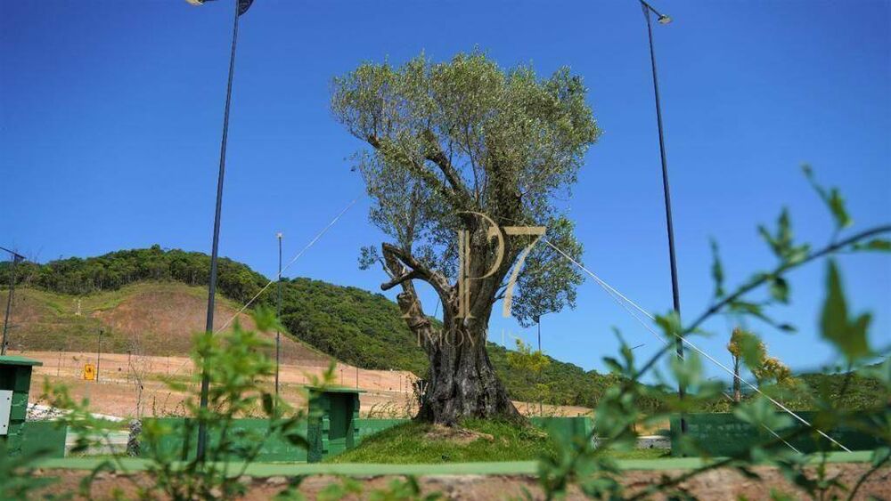 Loteamento e Condomínio, 300 m² - Foto 3