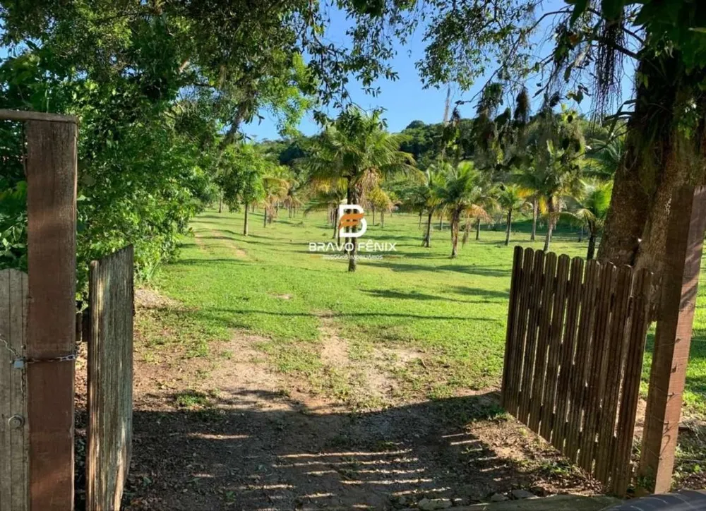 Terreno, 3 hectares - Foto 3