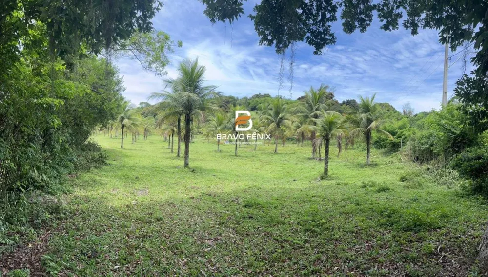 Terreno, 3 hectares - Foto 4
