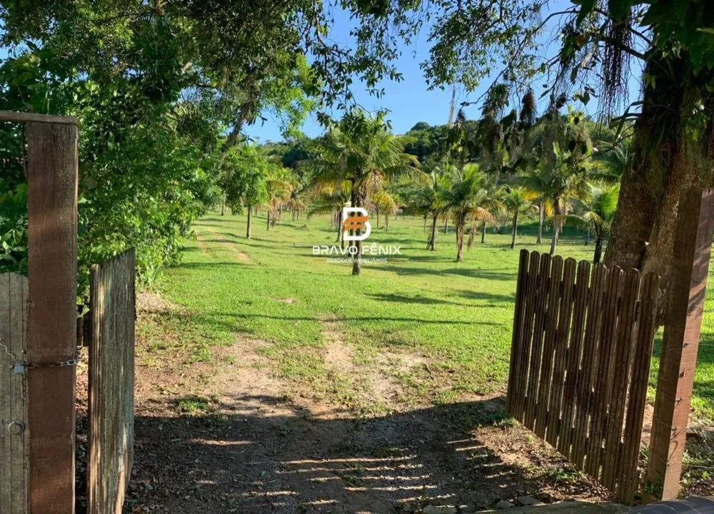 Terreno, 3 hectares - Foto 1