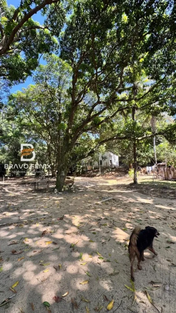 Casa, 3 quartos, 29324 m² - Foto 33