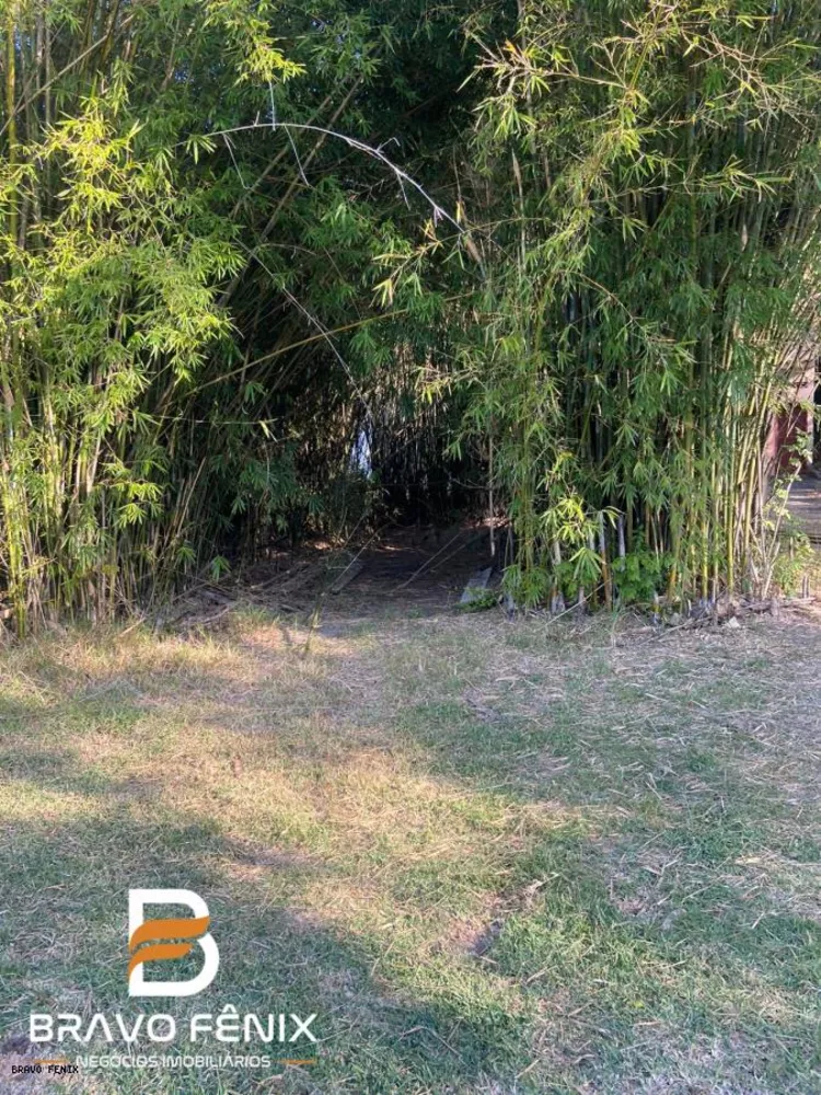 Casa, 4 quartos - Foto 48