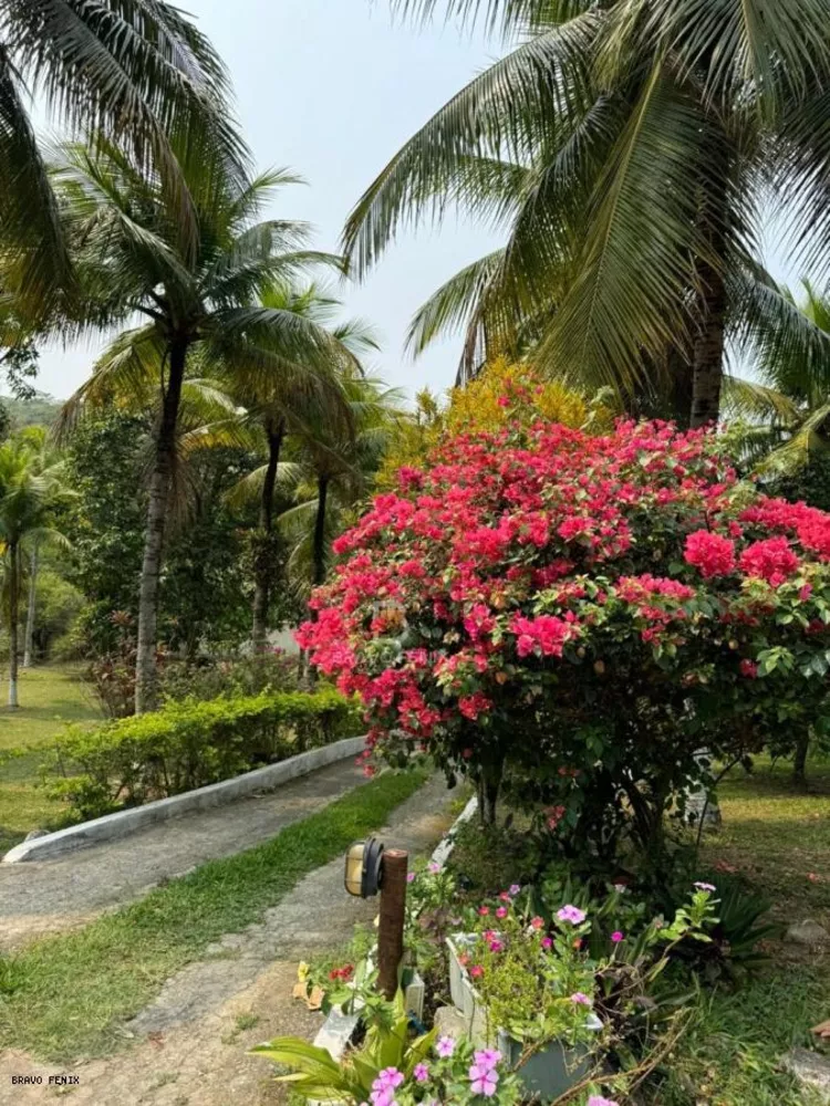 Casa, 3 quartos - Foto 17