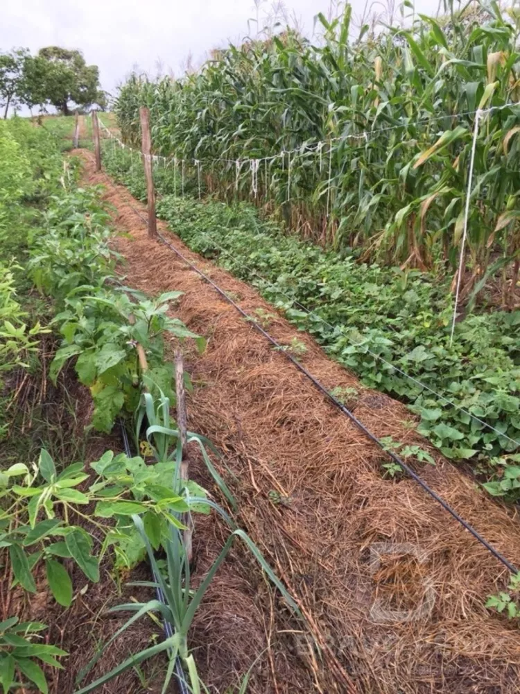 Casa, 1 quarto - Foto 8