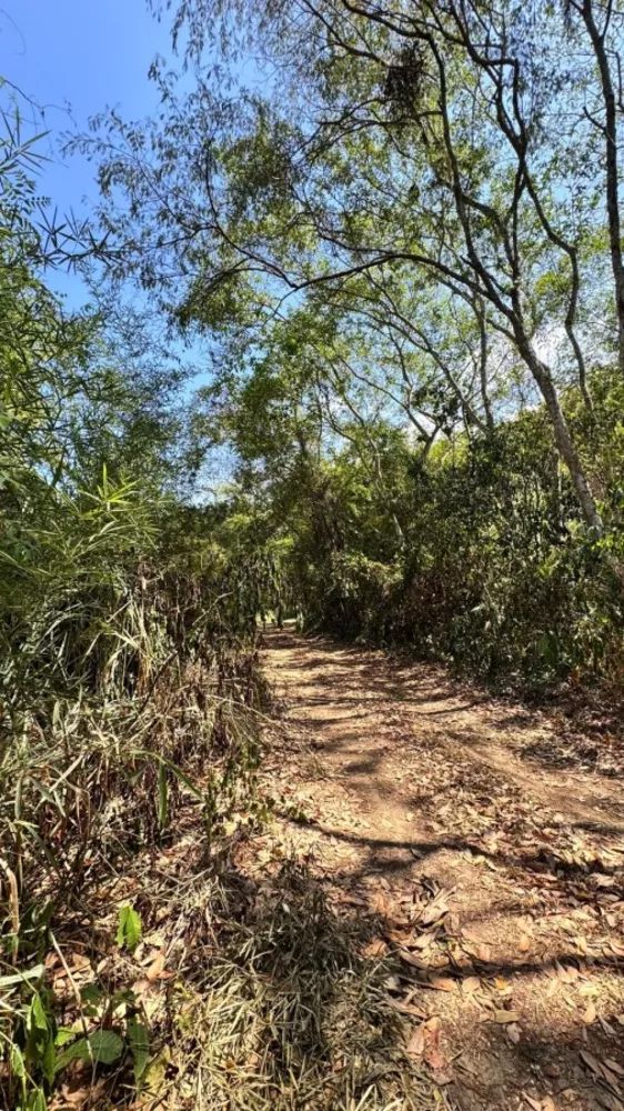 Terreno, 1800 m² - Foto 4