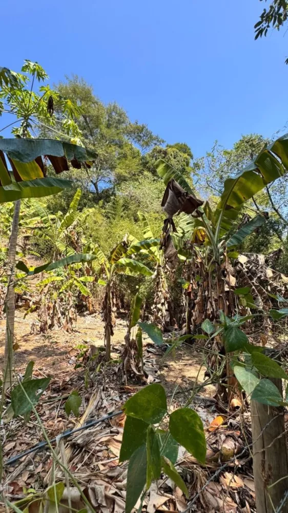 Terreno, 1800 m² - Foto 8