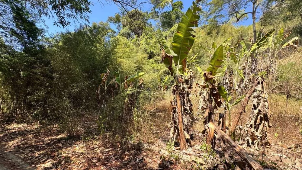 Terreno, 1800 m² - Foto 2