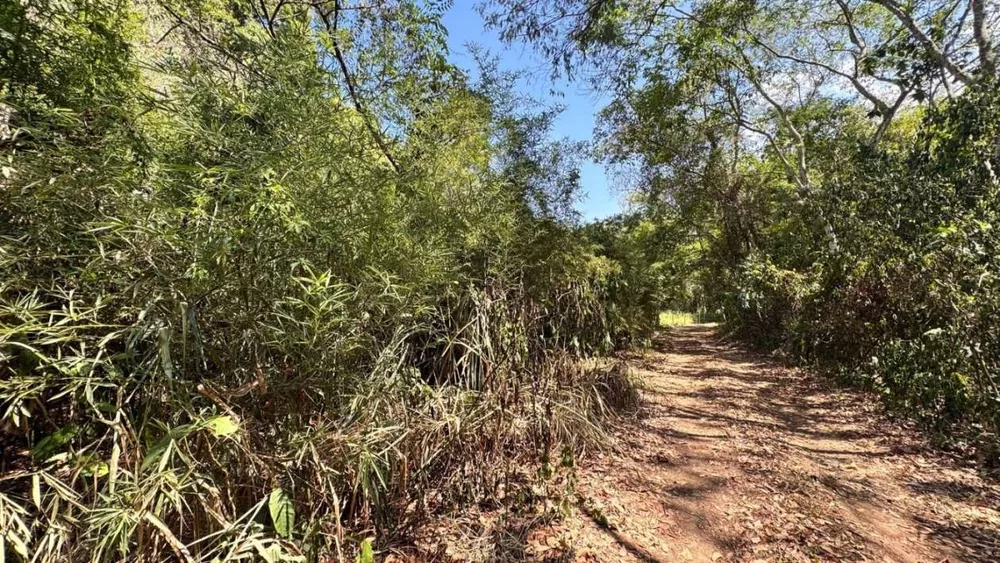 Terreno, 1800 m² - Foto 1