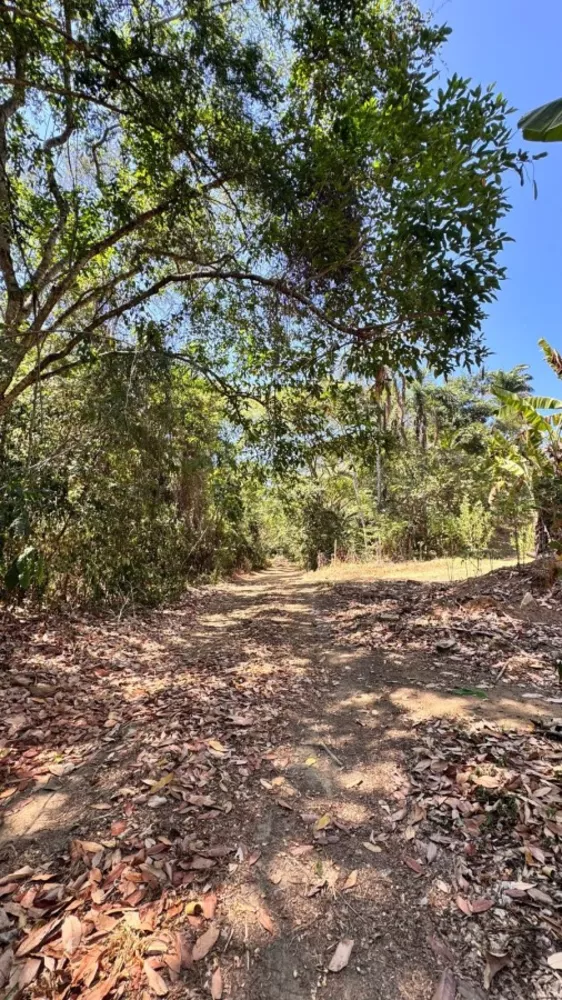 Terreno, 1800 m² - Foto 3