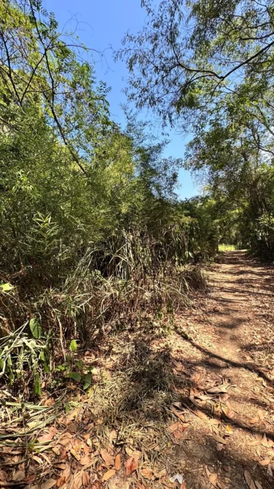 Terreno, 1800 m² - Foto 6