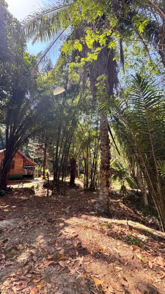 Terreno, 1800 m² - Foto 10