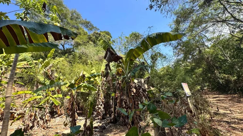 Terreno, 1800 m² - Foto 7