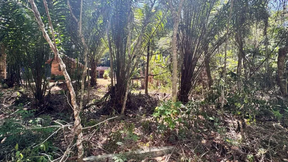 Terreno, 1800 m² - Foto 12