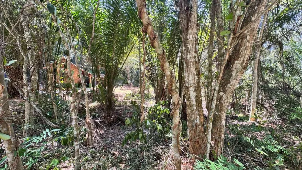 Terreno, 1800 m² - Foto 11