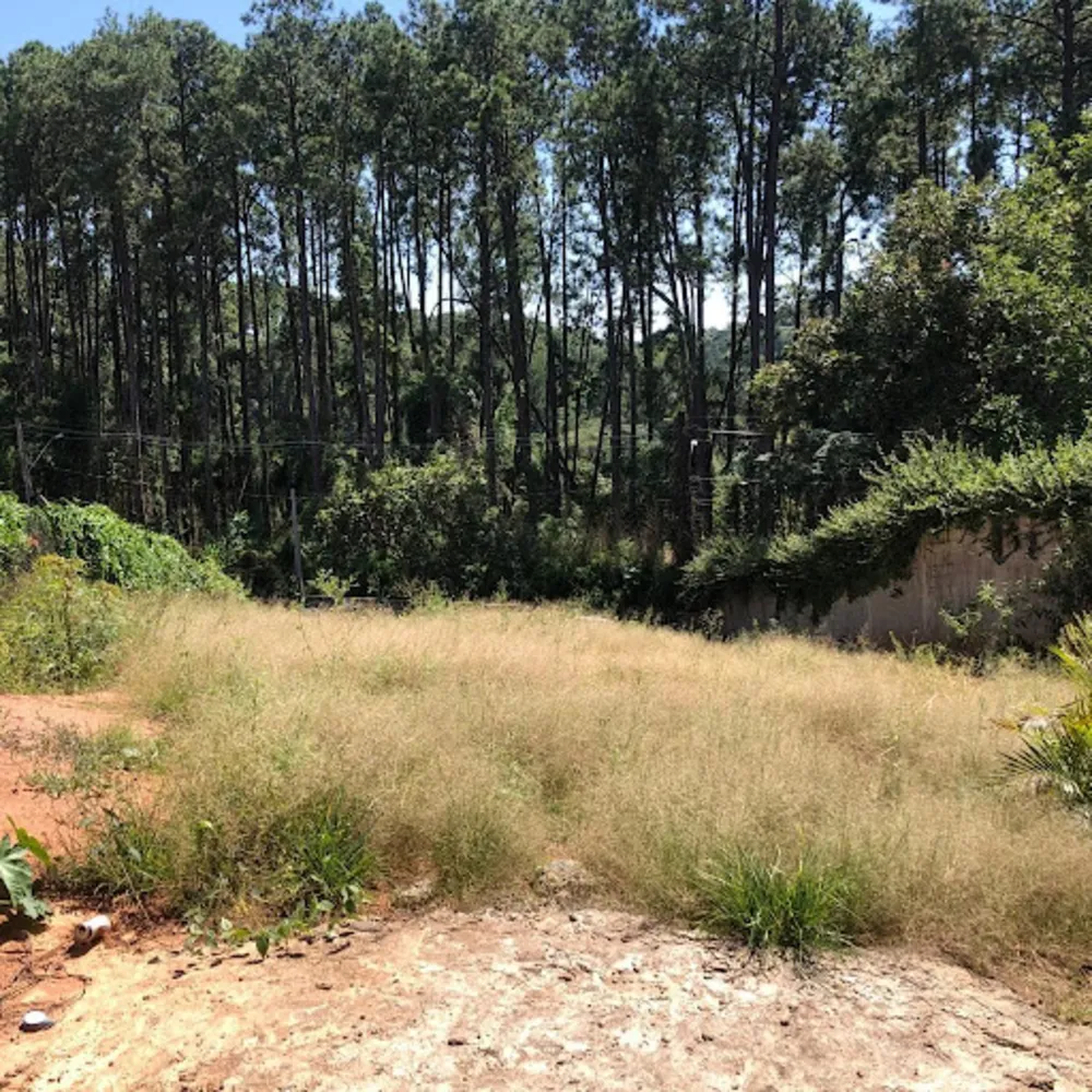 Chácara, 3 quartos, 1266 m² - Foto 2
