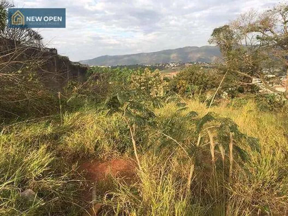 Terreno, 555 m² - Foto 3