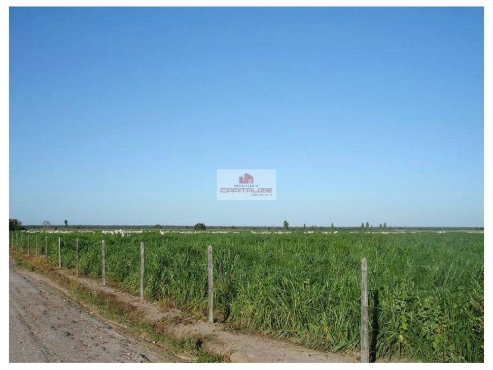 Fazenda à venda, 10500m² - Foto 4