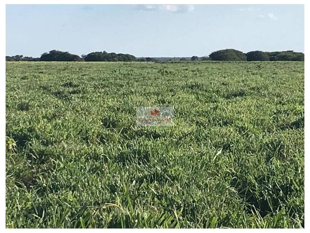 Fazenda à venda, 10500m² - Foto 5