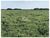Fazenda, 1 hectares - Foto 5