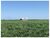 Fazenda, 1 hectares - Foto 1