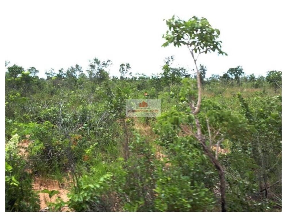 Fazenda à venda, 1691m² - Foto 5