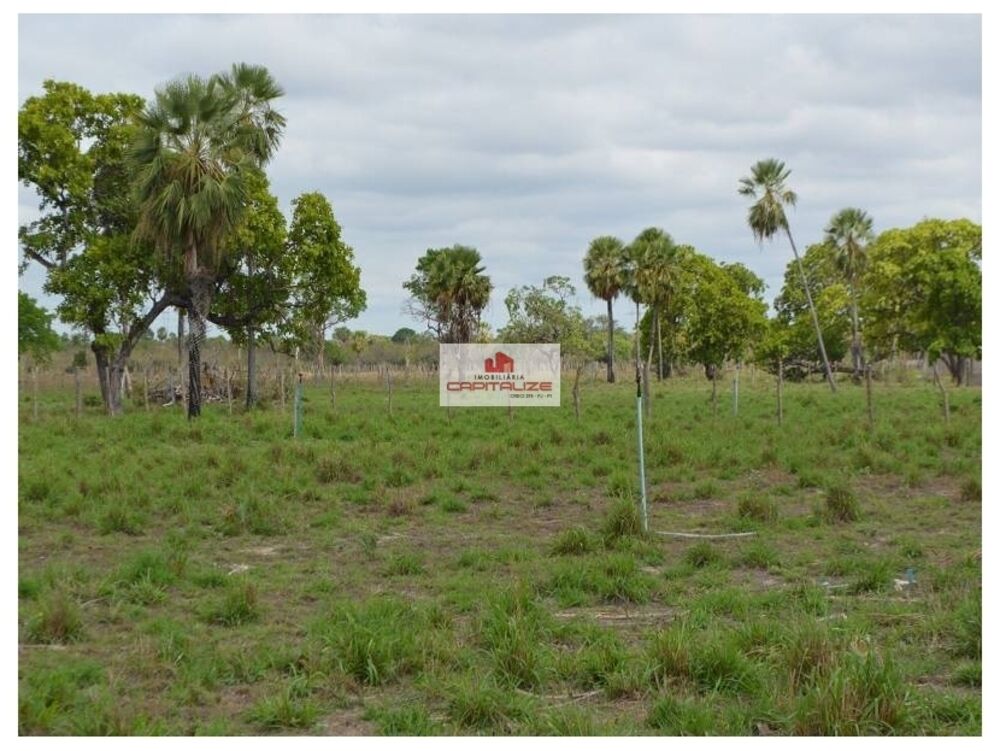 Fazenda, 438 m² - Foto 1