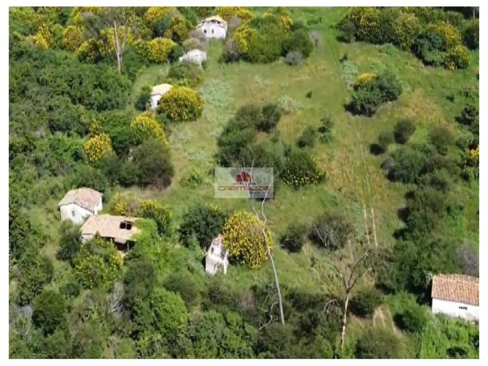 Fazenda à venda, 6200m² - Foto 1