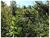 Terreno, 2 m² - Foto 5