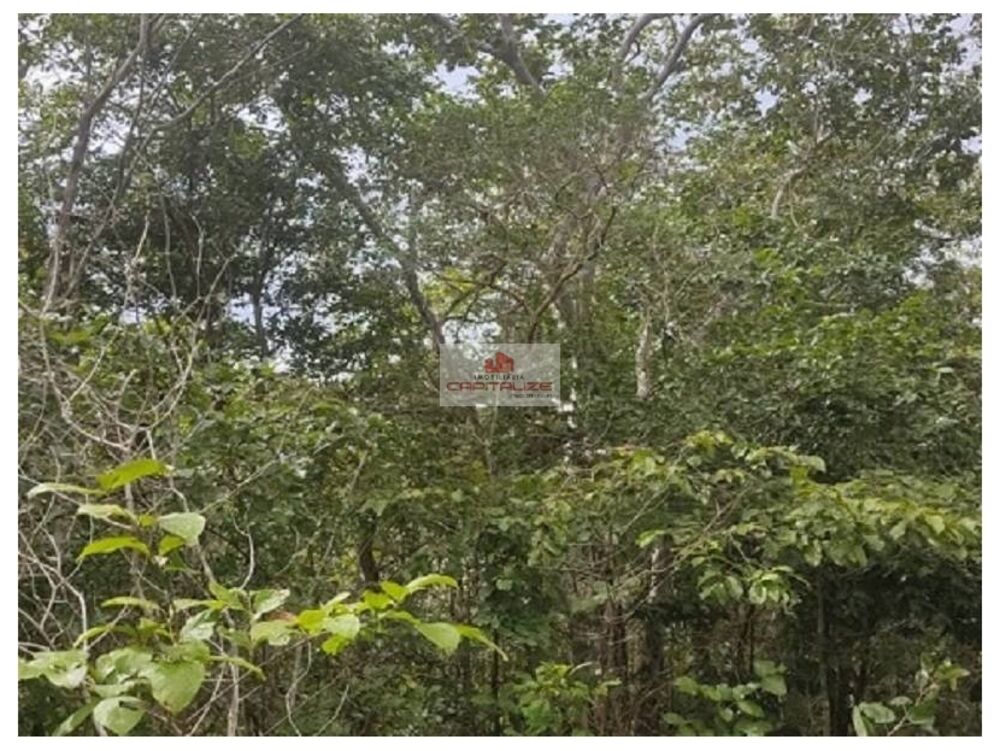 Fazenda, 300 m² - Foto 2