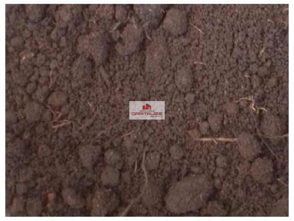 Fazenda, 300 m² - Foto 1