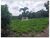 Fazenda-Sítio-Chácara, 1041 m² - Foto 1