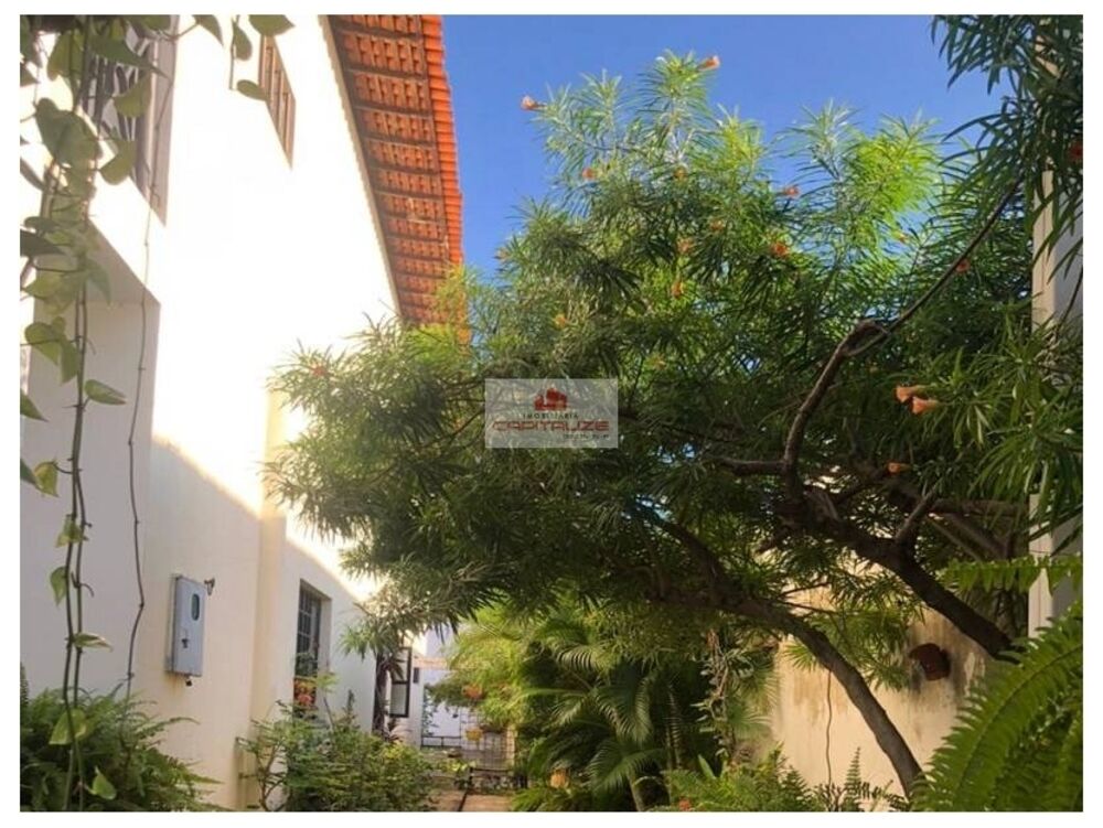 Casa, 4 quartos, 540 m² - Foto 6