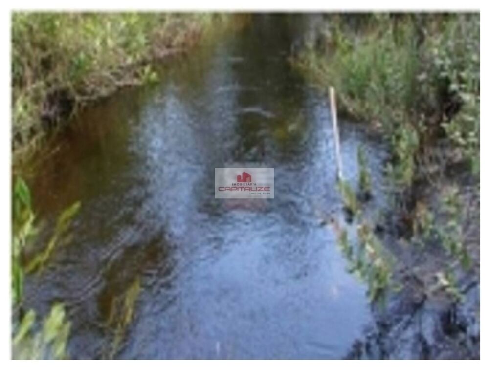 Fazenda, 1 hectares - Foto 8