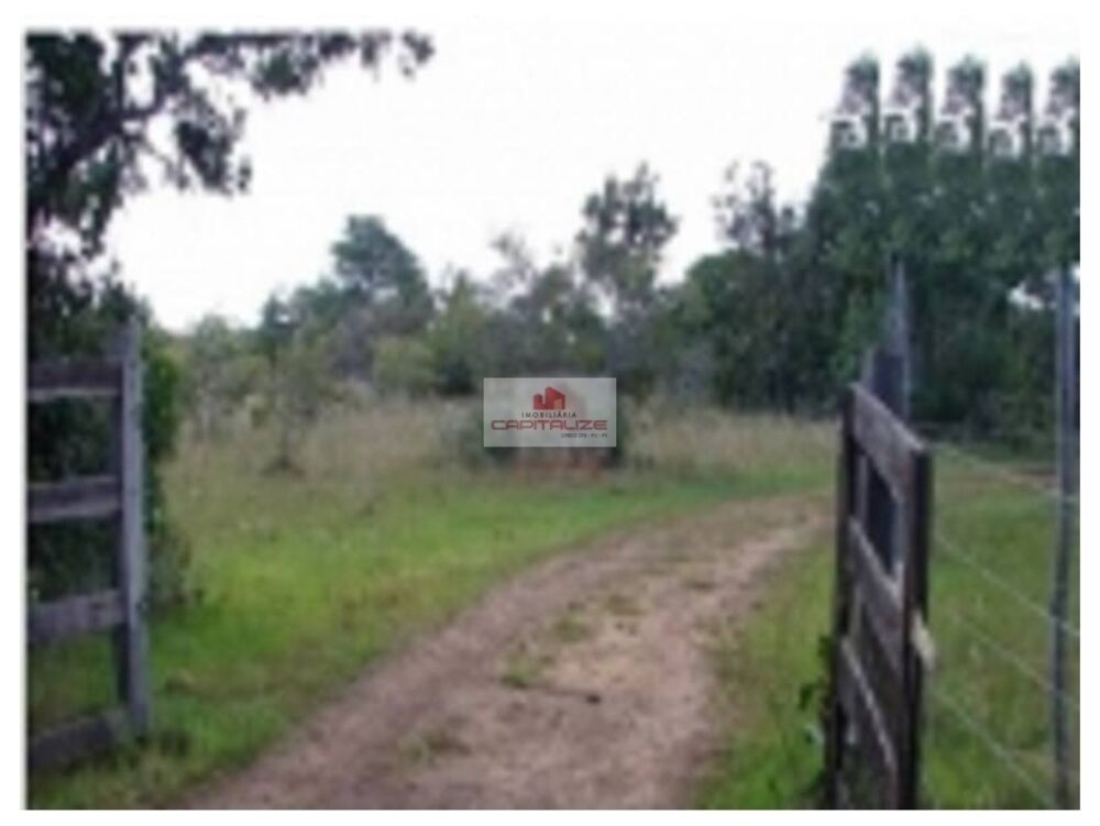 Fazenda, 1 hectares - Foto 4