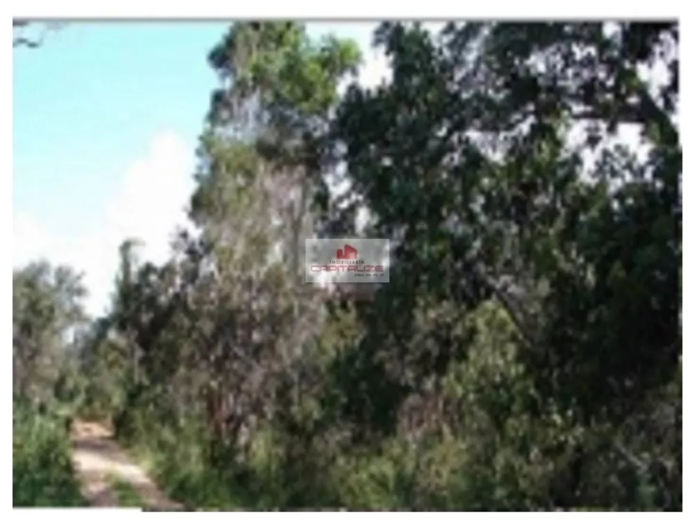 Fazenda, 1 hectares - Foto 5