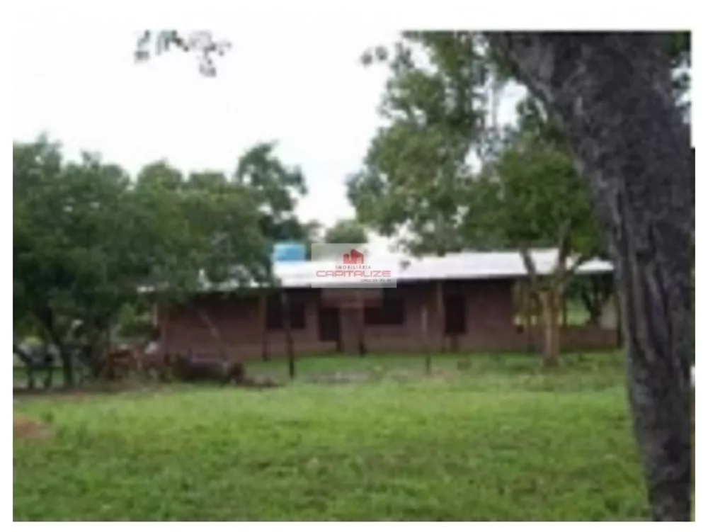 Fazenda, 1 hectares - Foto 7