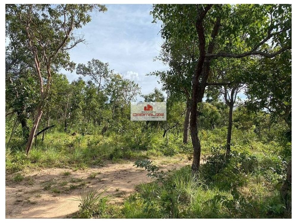 Fazenda, 1 hectares - Foto 1