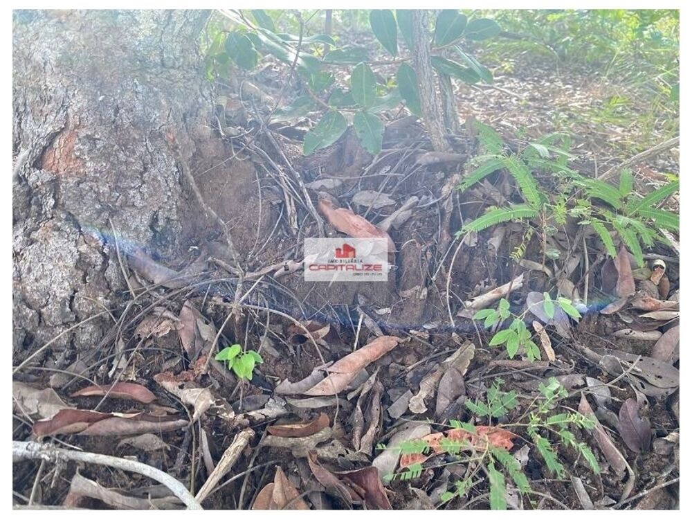 Fazenda, 1 hectares - Foto 3