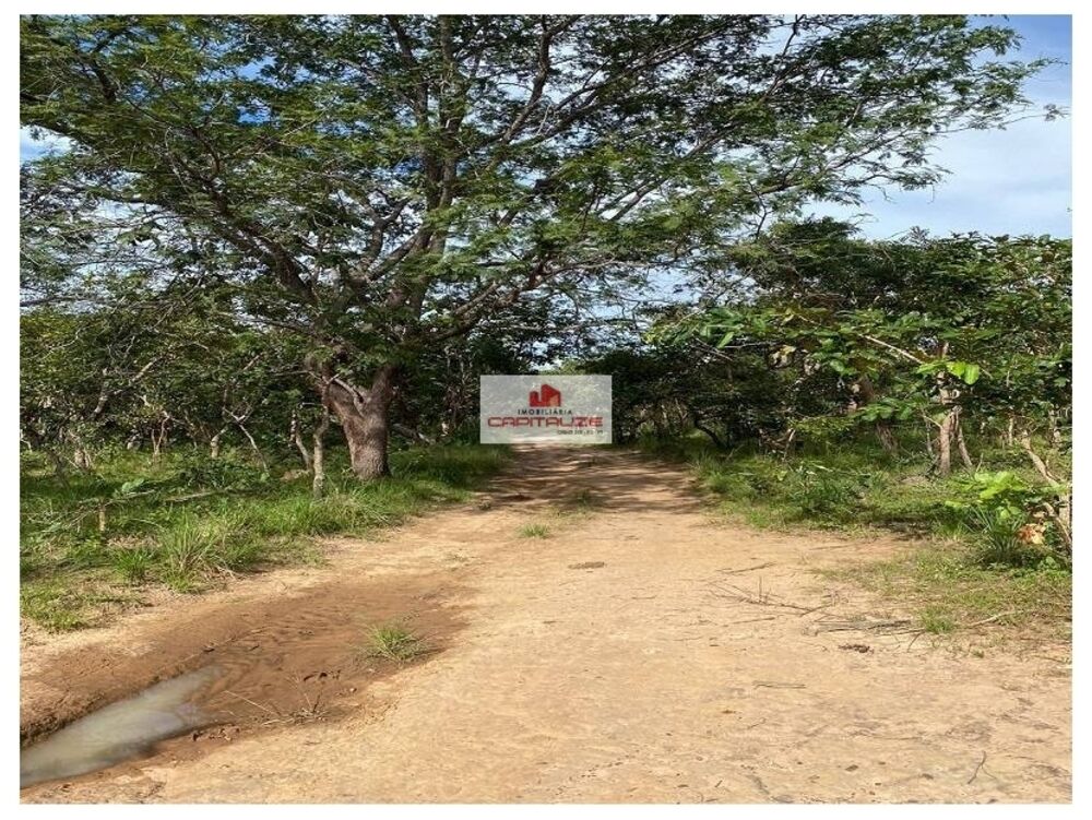 Fazenda, 1 hectares - Foto 2