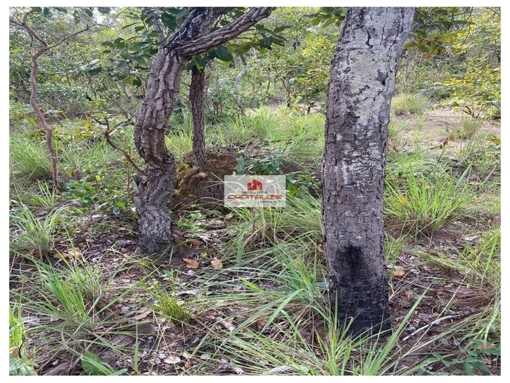 Fazenda, 1 hectares - Foto 4