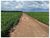 Fazenda-Sítio-Chácara, 5043 m² - Foto 1