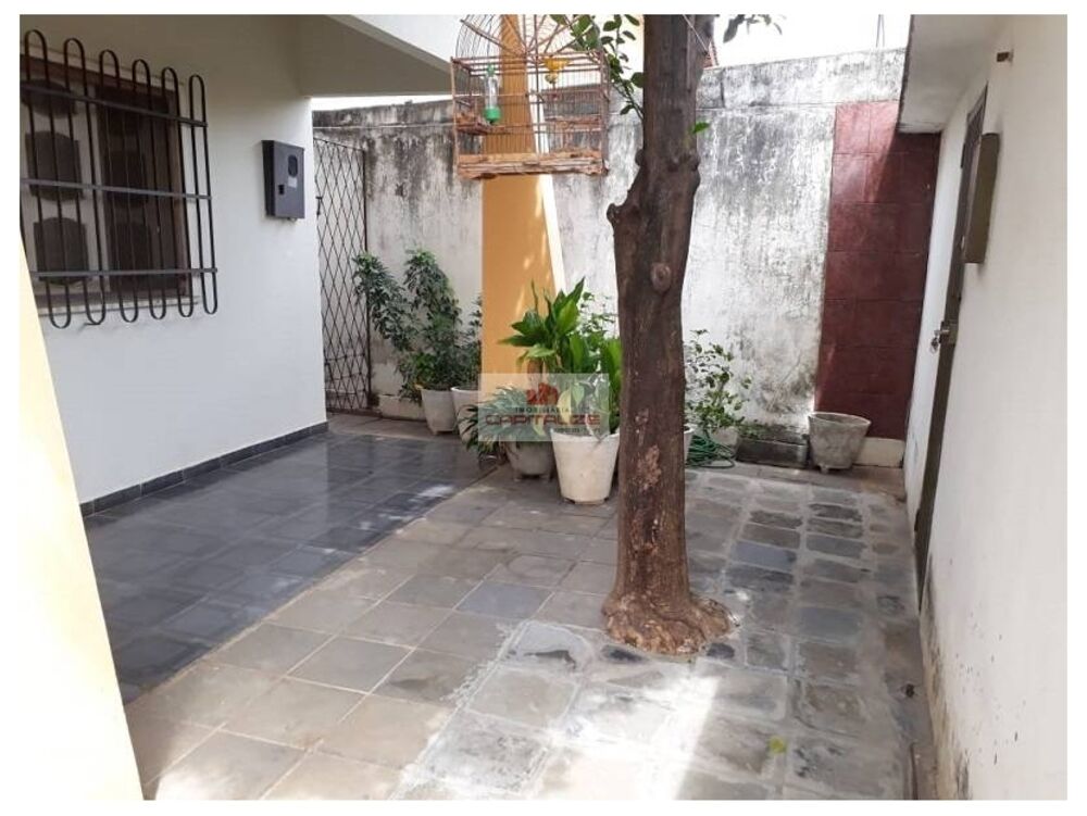 Casa, 4 quartos, 300 m² - Foto 3