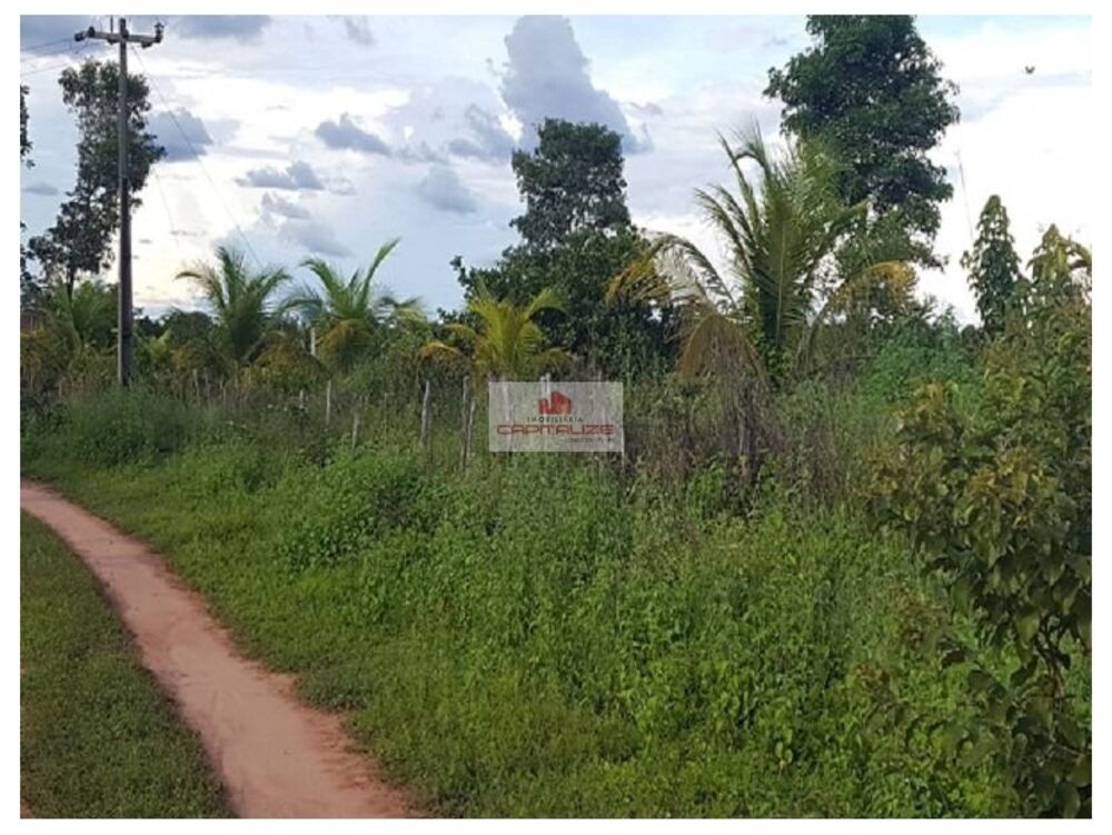 Casa à venda com 4 quartos, 25000m² - Foto 3