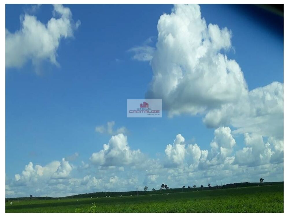 Fazenda à venda, 60000m² - Foto 3