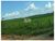 Fazenda, 6 hectares - Foto 1